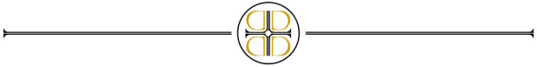 LD Logo Break