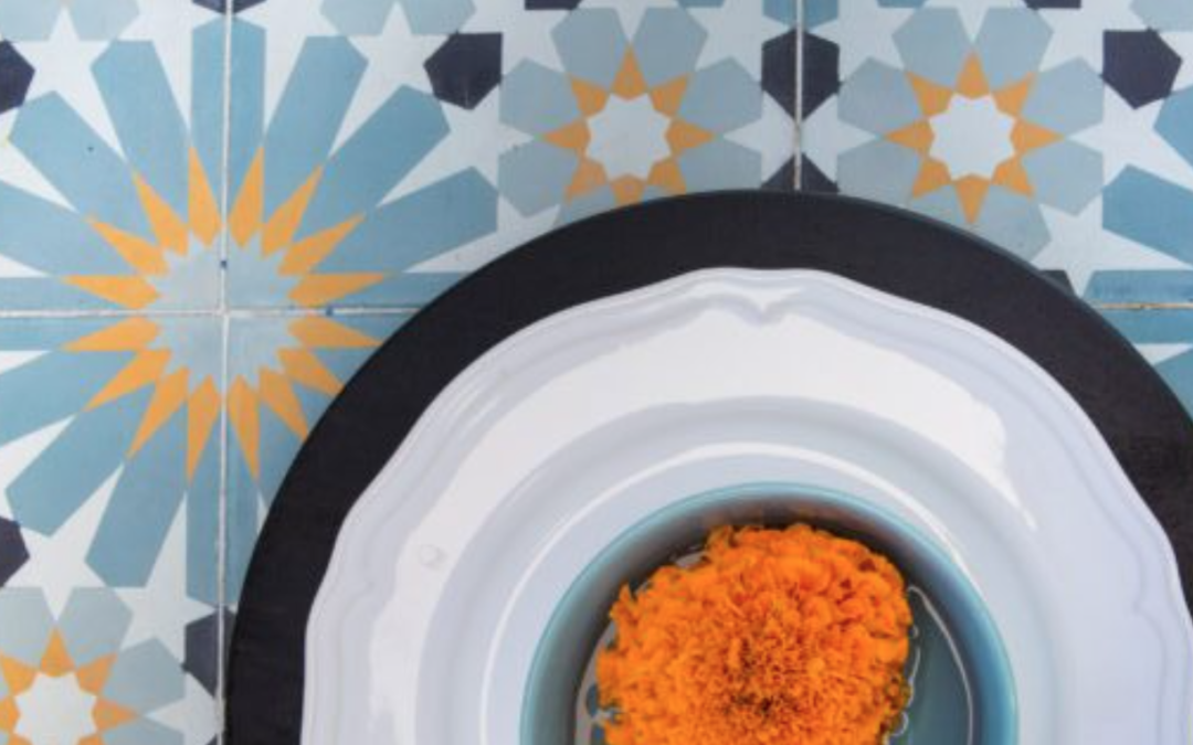 Moorish Patterns Featured on Houzz & Arch Magazine: Lori Dennis Summer Features