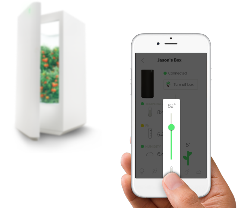 Smart Luxury: The Best Technology for a Sustainable Home