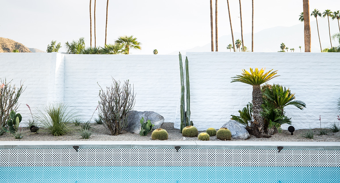 No desert home is complete without some landscaping that plays with scale. Usually we recommend low-maintenance succulents, especially in the desert, but if you truly want to achieve the Mid-century Moroccan aesthetic, go for a mix of larger palms as well!