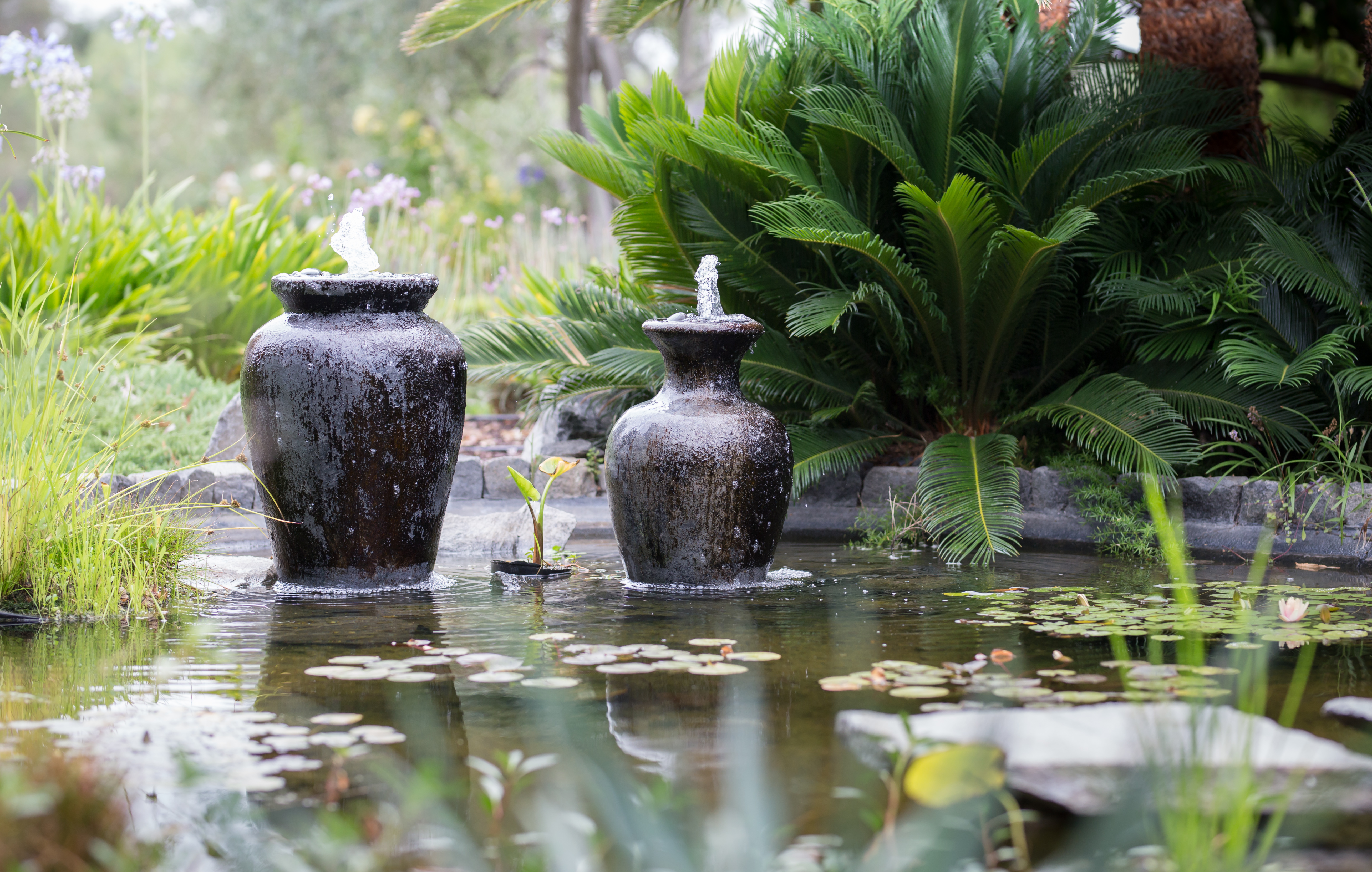 Plants, landscaping, and water features help define the space you have to design your outdoor lounge around.