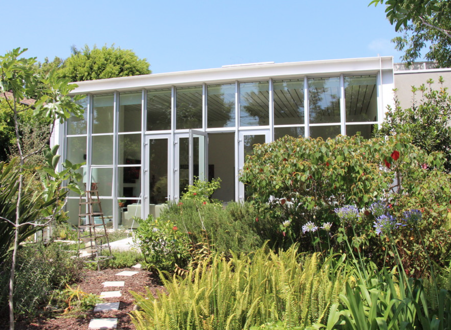 Modern Backyard with Stepping Stones in Zen Garden