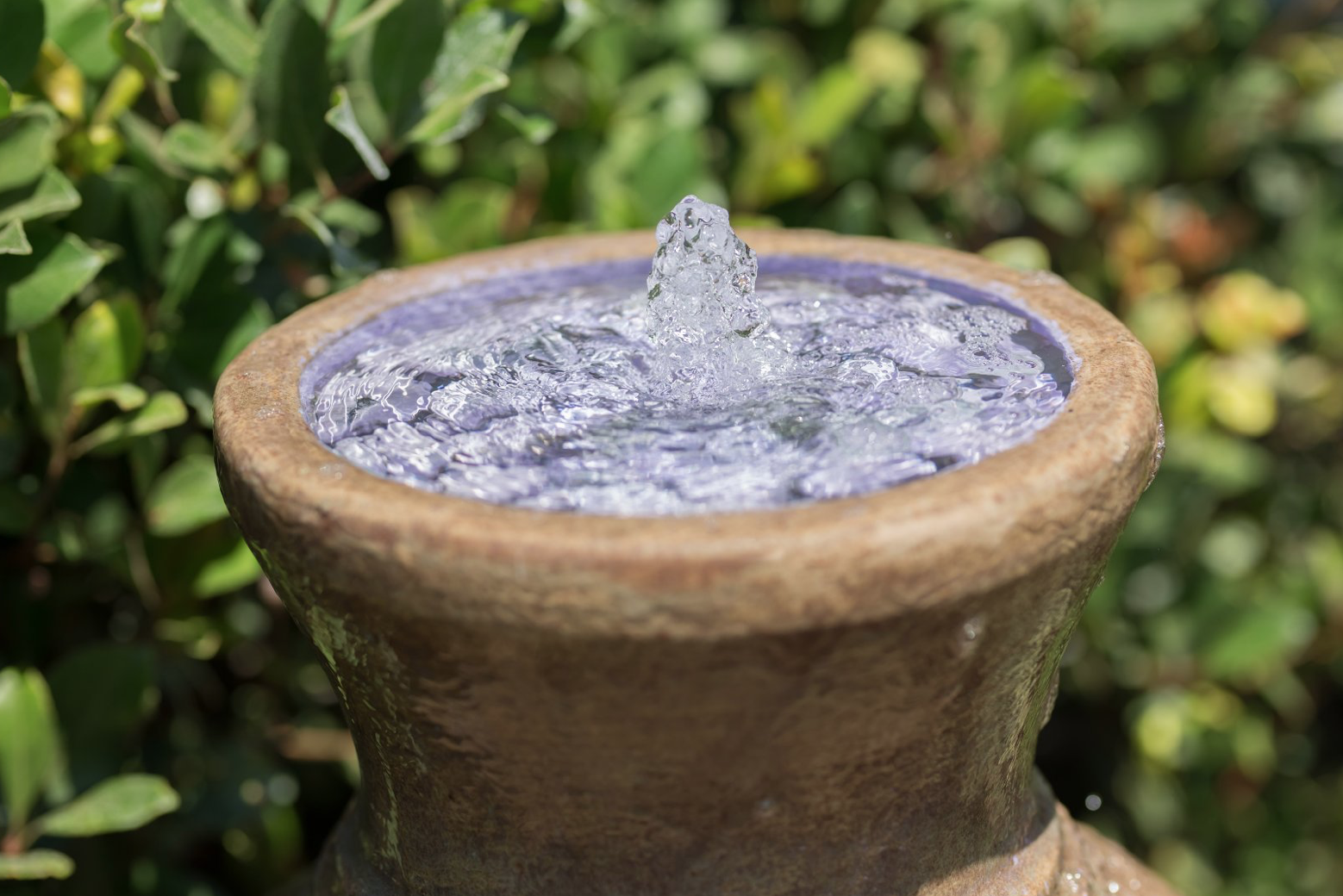 Lemon Ranch Orchard with Water Feature