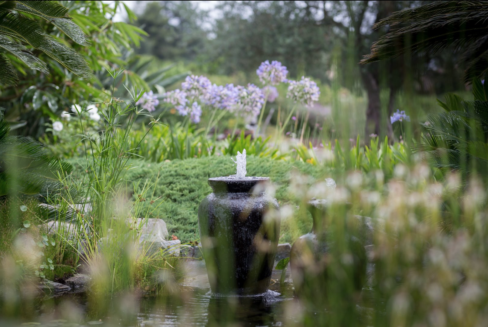 Lemon Ranch Orchard with Water Feature