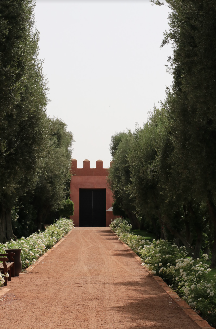 scenic entry to La Mamounia