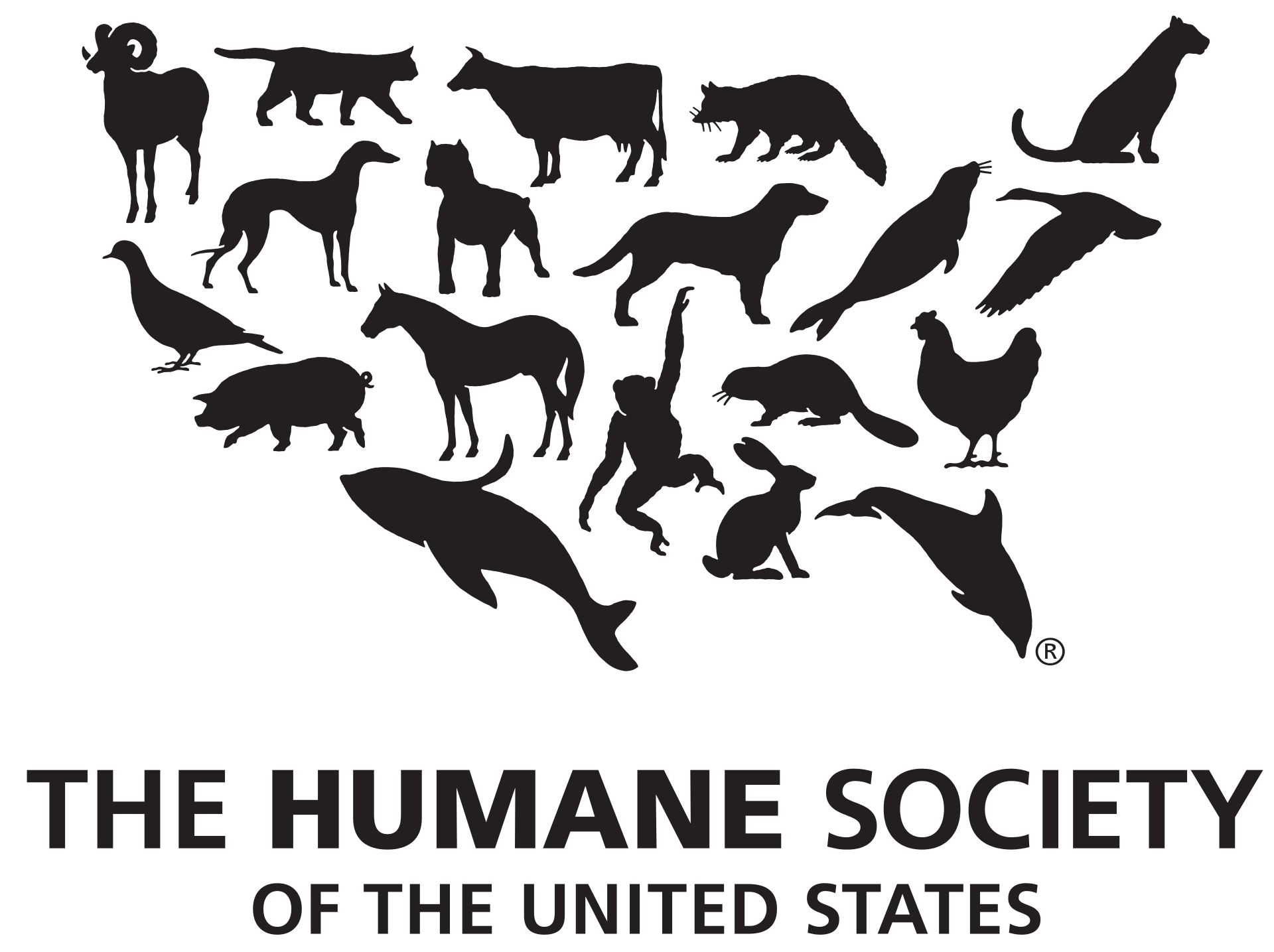 Season for Giving to the humane society