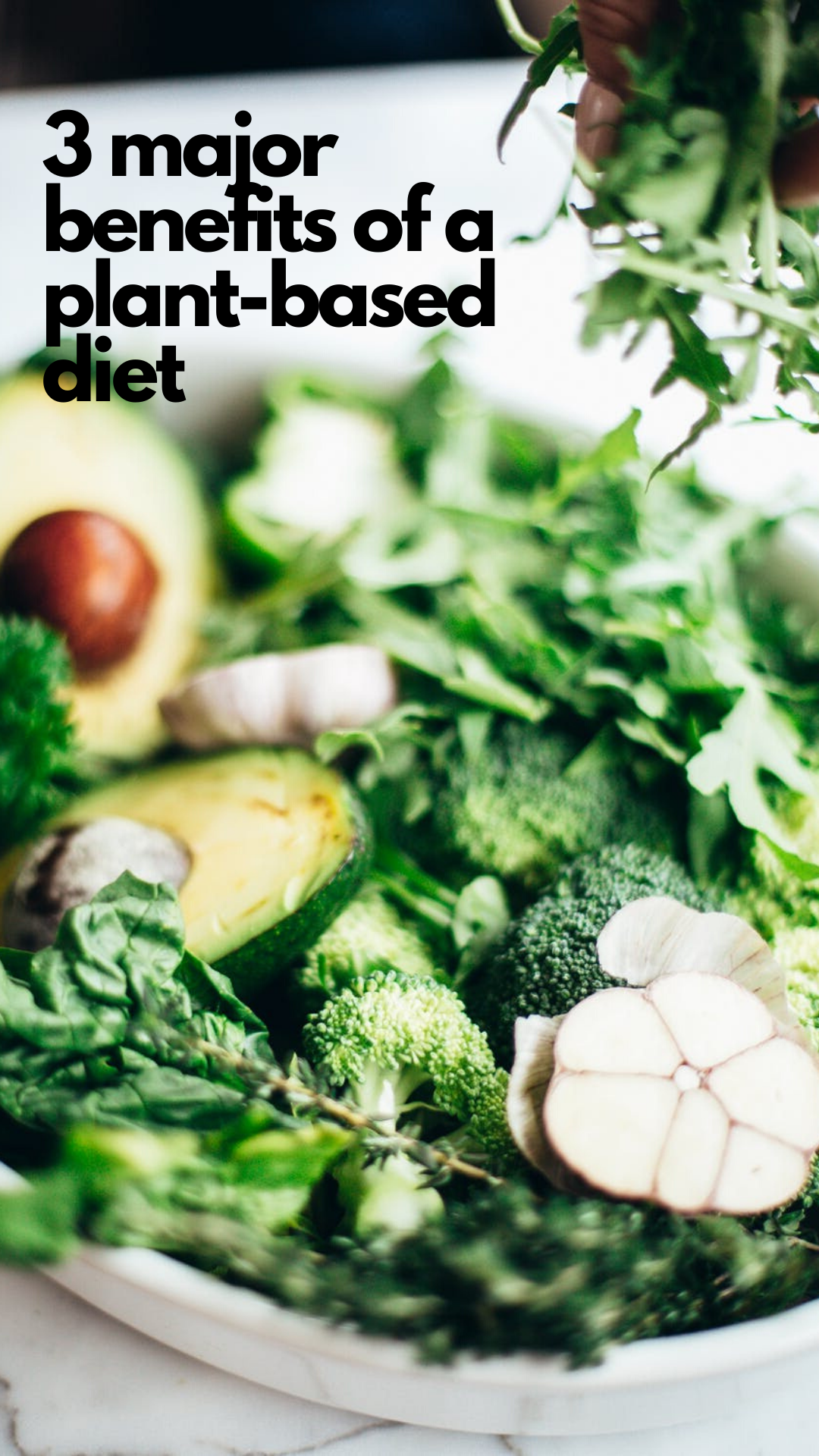3 major benefits of a plant-based  diet