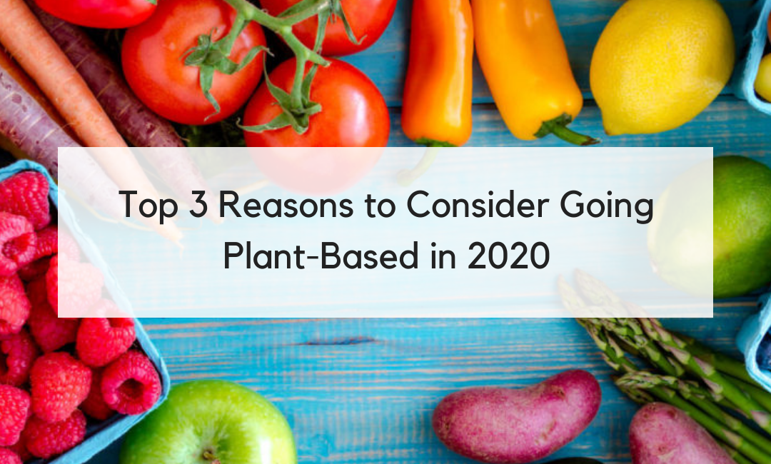 Top 3 Reasons to Consider Going Plant-Based in 2020