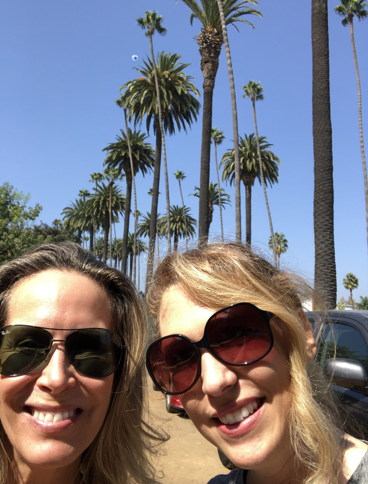 Lorie R Friend Finding Gratitude in 2020 – LORI DENNIS
