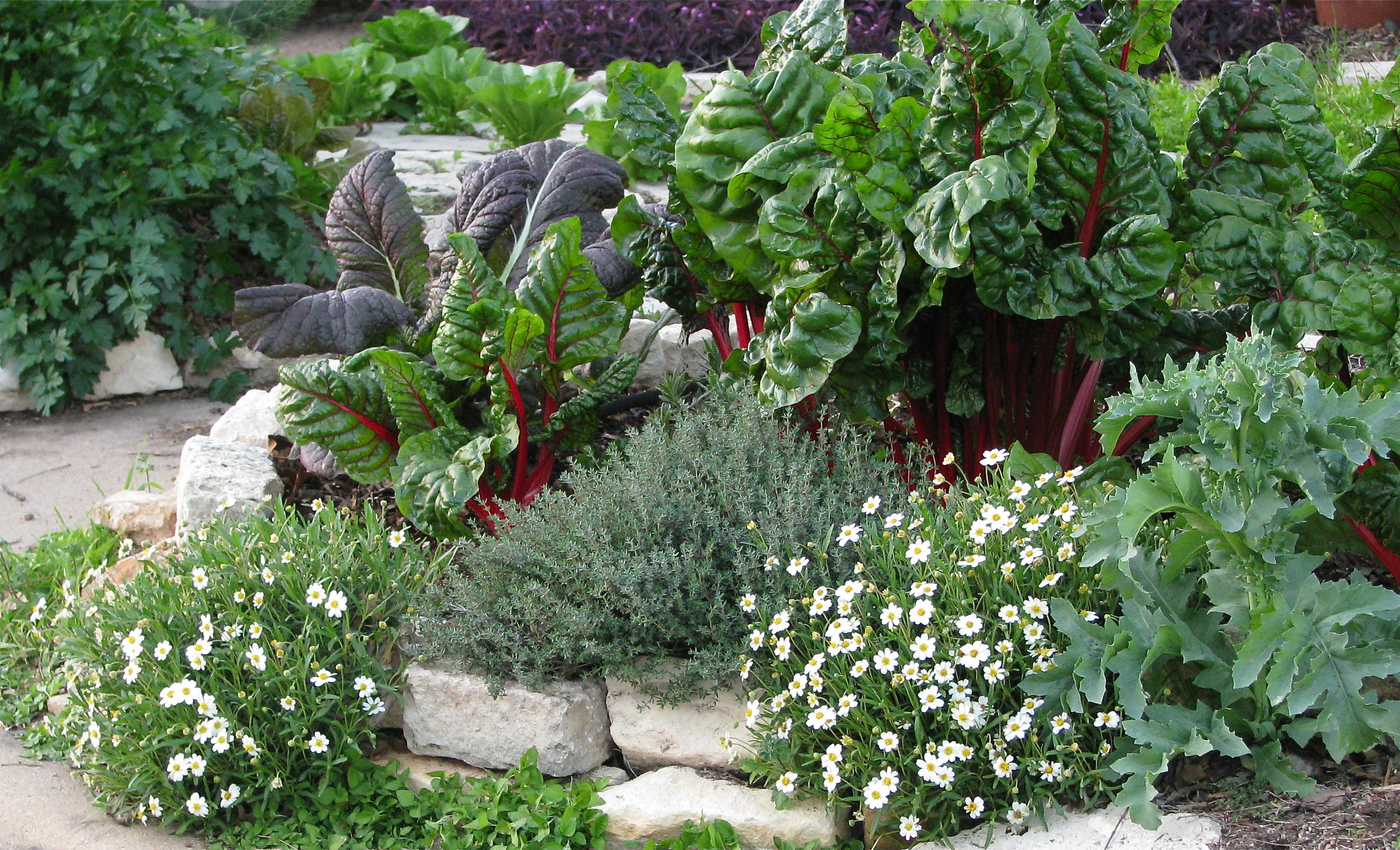 How to Design a Beautiful Vegetable Garden