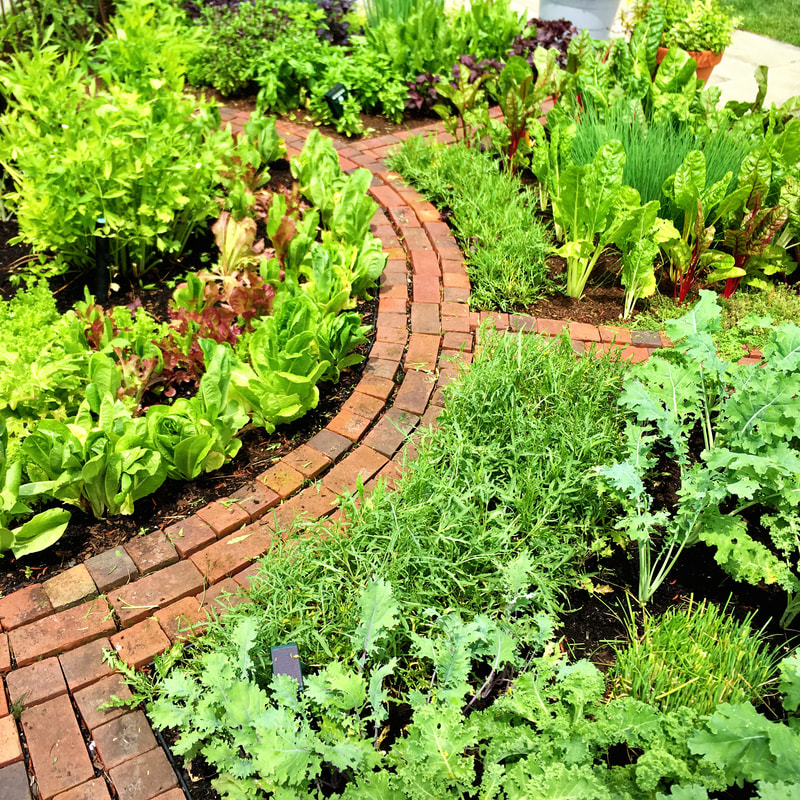 How to Design a Beautiful Edible Garden LORI DENNIS