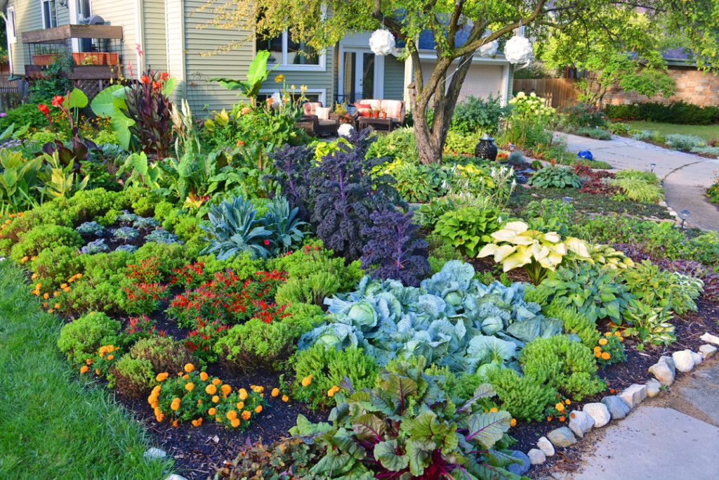 How to Design a Colorful Edible Garden