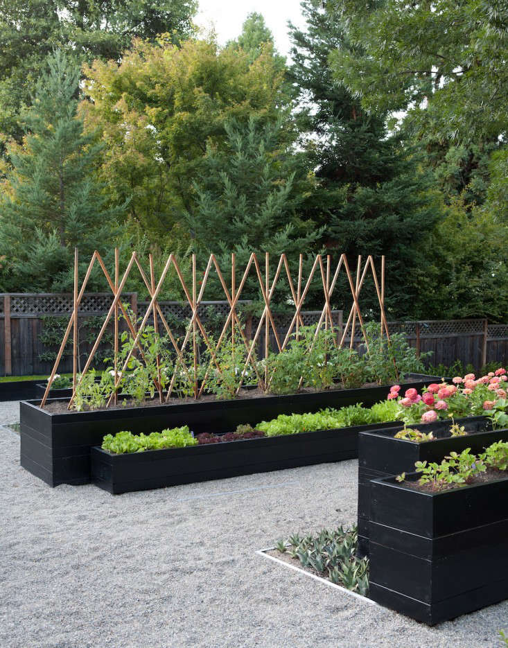 Design a Stylish Vegetable Garden Lori Dennis Interior Design