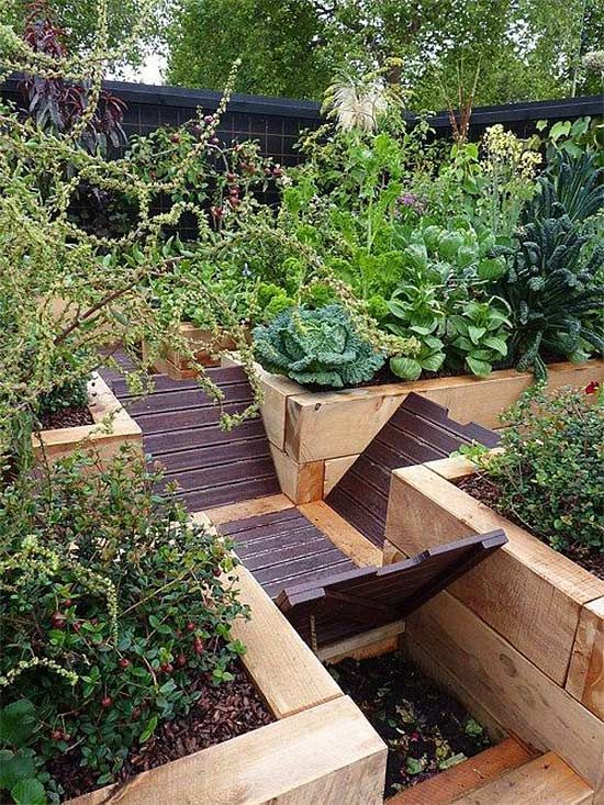 Smart Edible Garden Landscape Design
