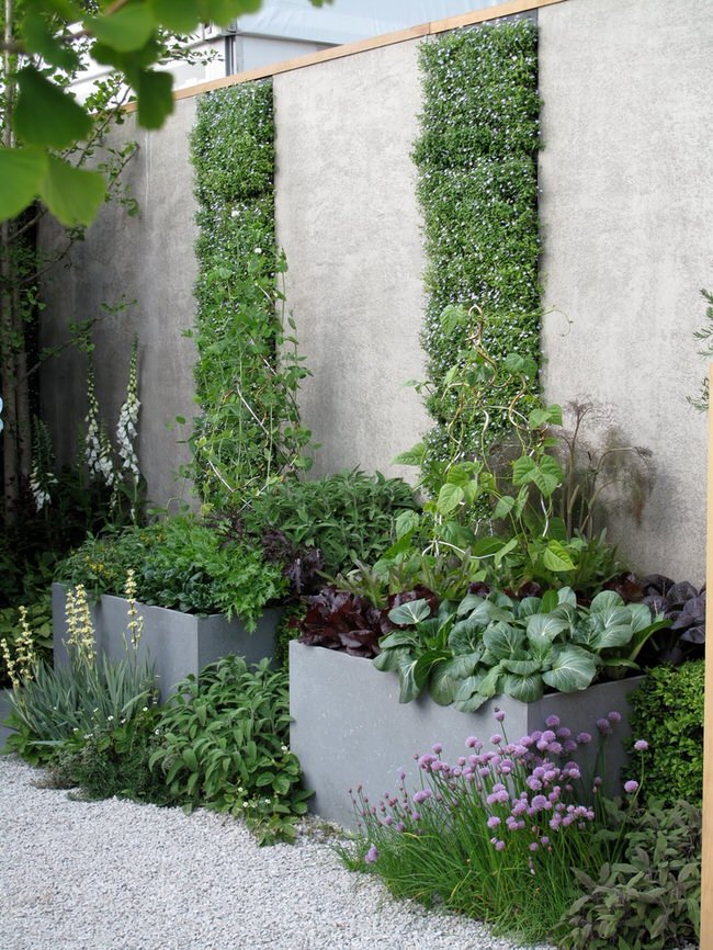 Design a Beautiful Edible Garden