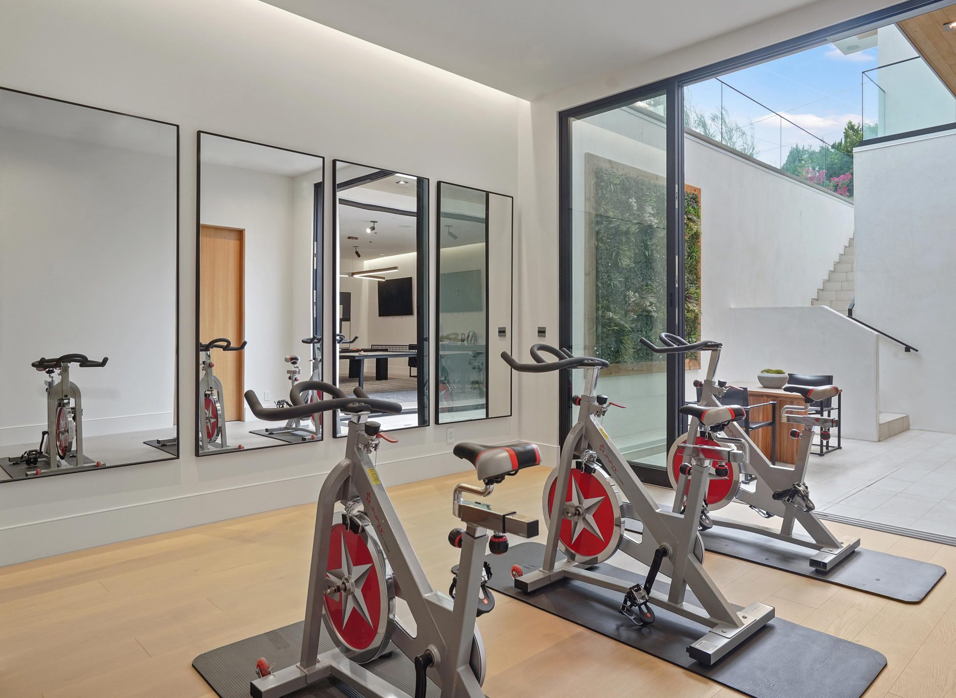 Home Gym Luxury Interior Design