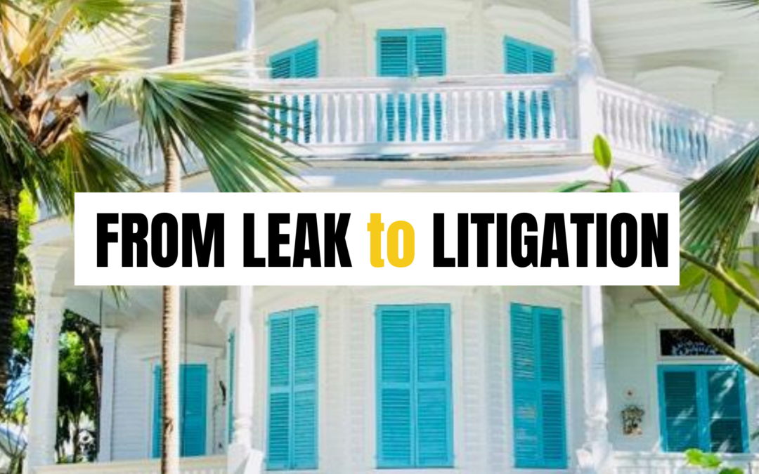 From Leak to Litigation