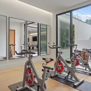 Beverly Hills - HOME GYM - Modern Beverly Hills Lori Dennis Interior Design
